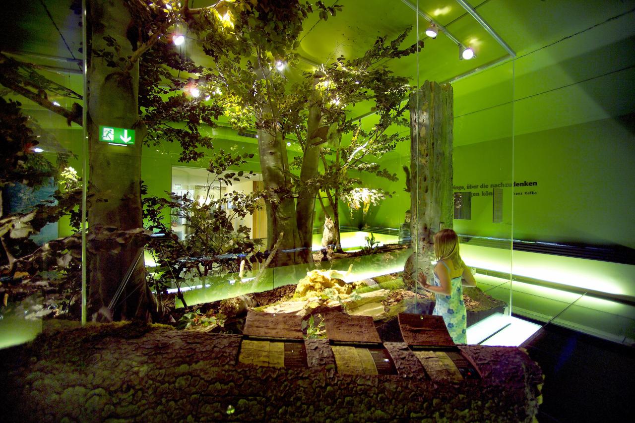 Exhibition shows a forest wilderness with its inhabitants
