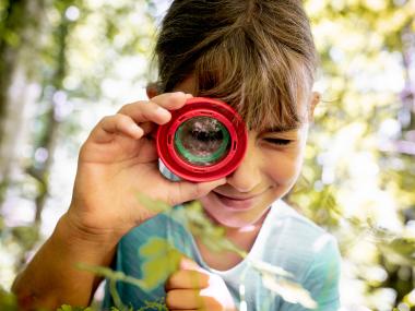 Girl looking at a beech leaf through a magnifying glass