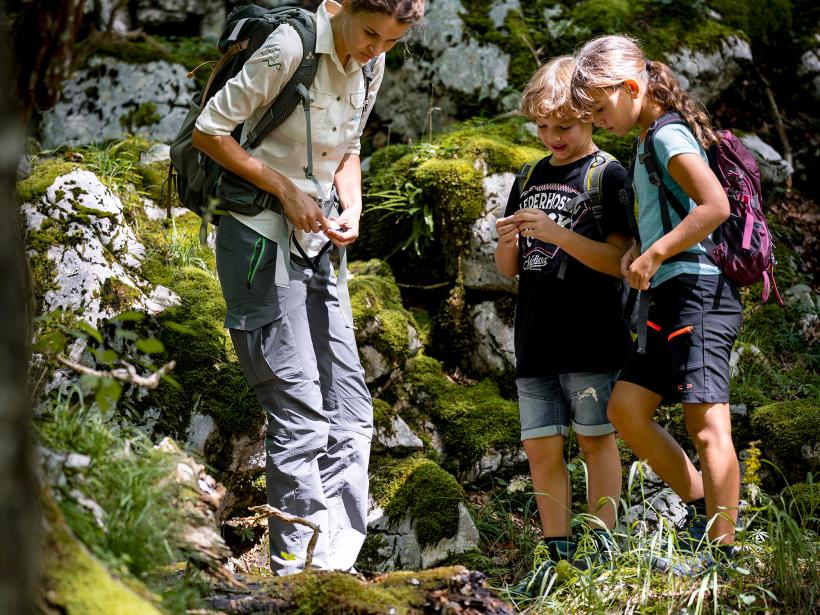 National Park ranger and two schoolchildren look at a lying deadwood trunk