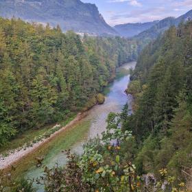 The Steyr River flows through a forest-lined gorge