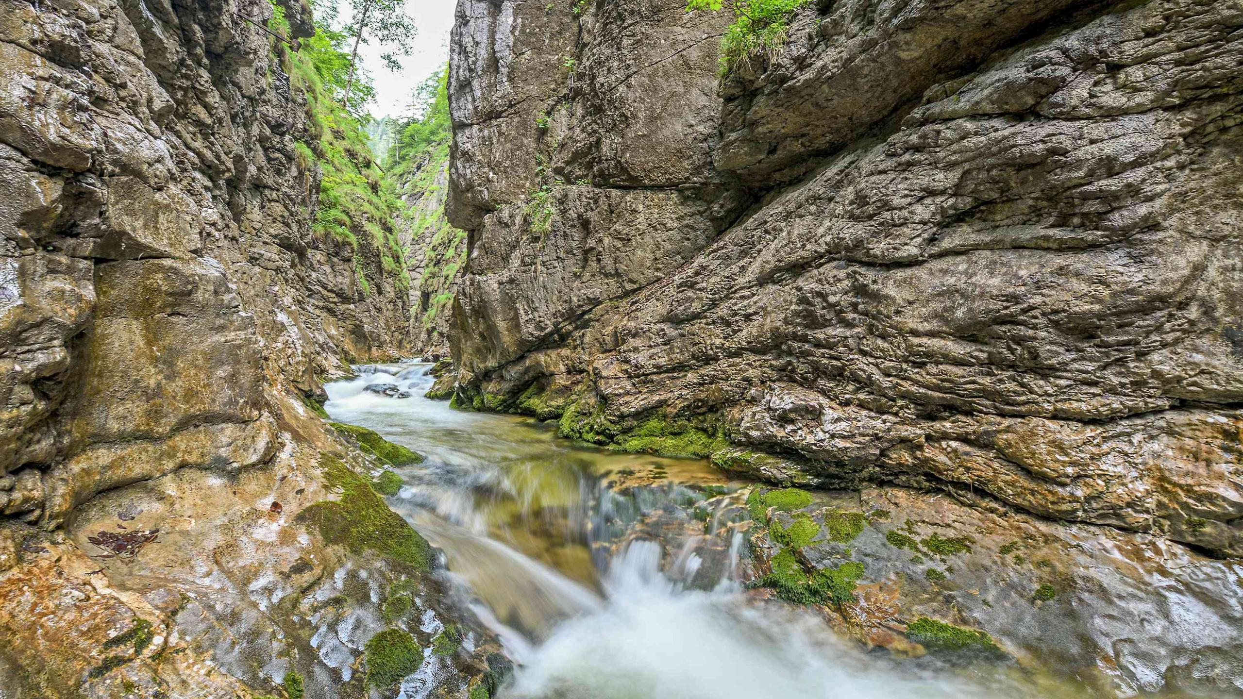 Mountain stream forces its way through a deep, narrow gorge
