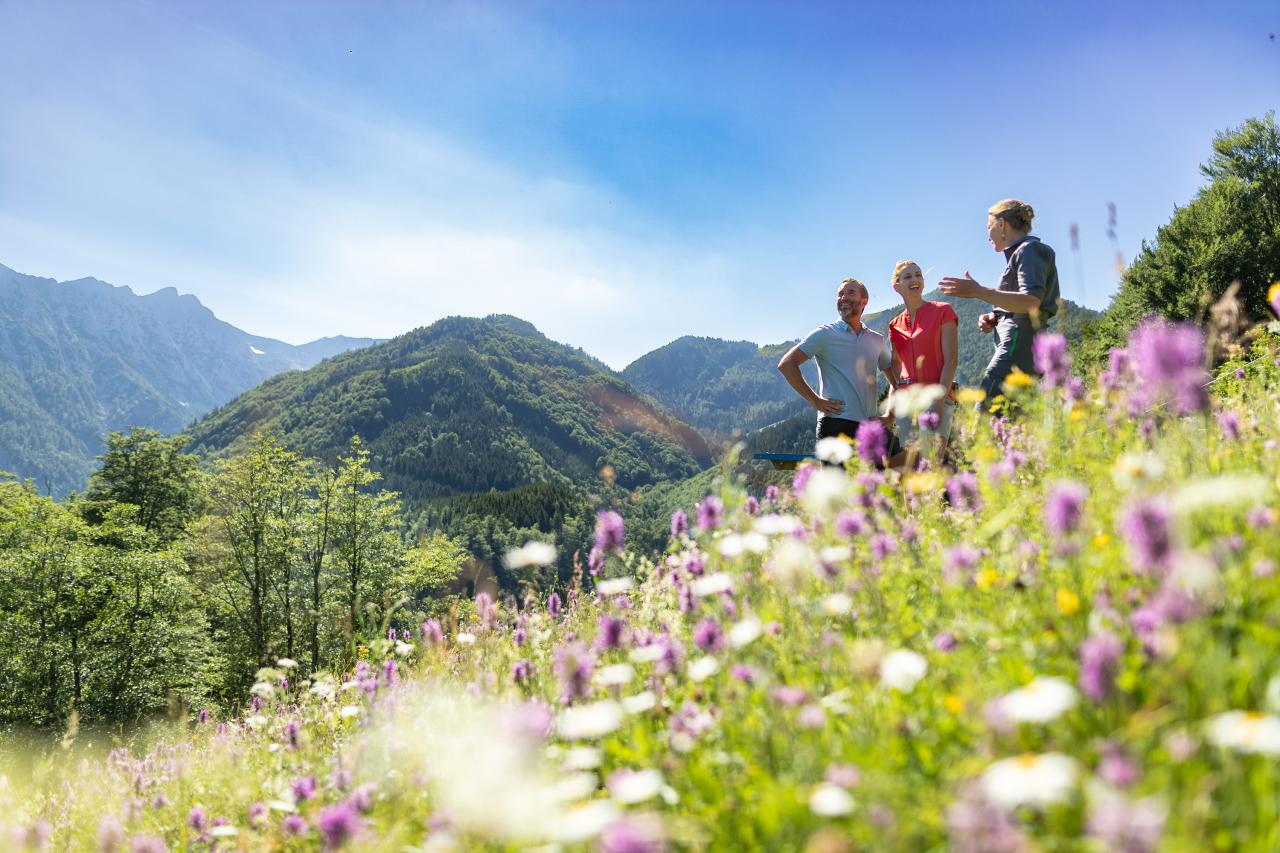 In a blooming mountain meadow, a ranger talks to two adults