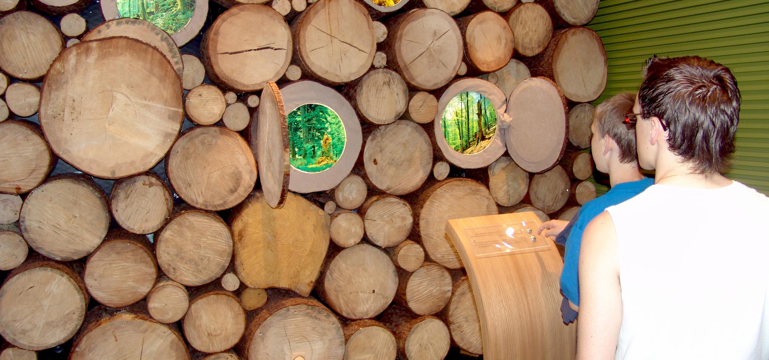 Exhibition element shows tree trunks on whose cut surface windows with forest images open