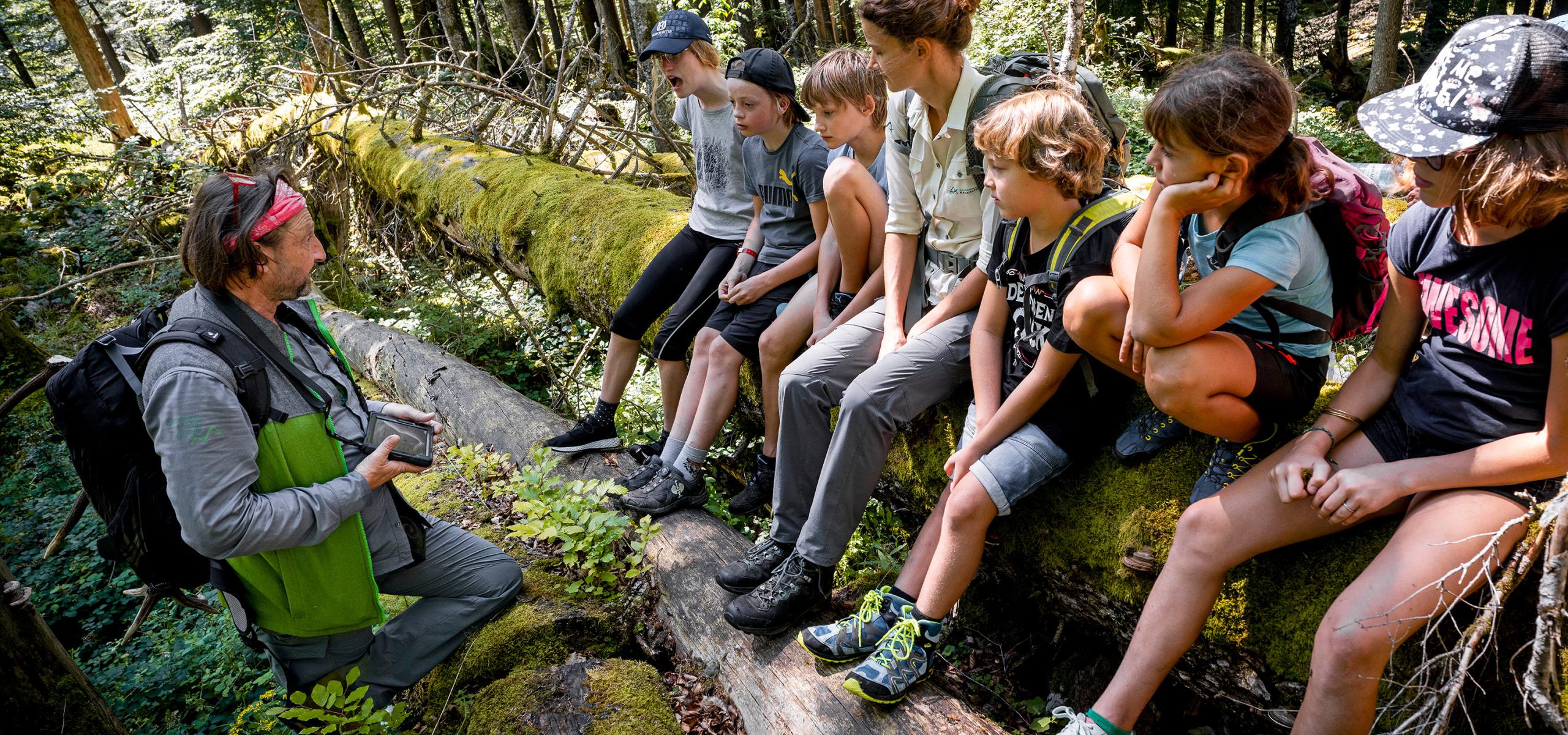 Schoolchildren sit on a mossy tree trunk in the forest and listen to national park rangers