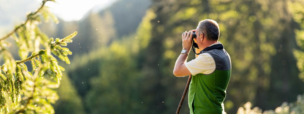 Ranger looks through binoculars at an area of forest