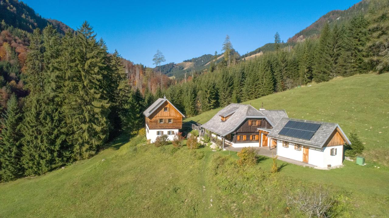 There are three buildings in a clearing in the forest