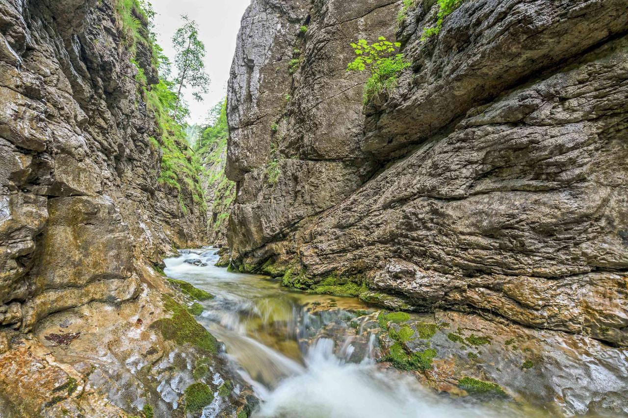 Mountain stream forces its way through a deep, narrow gorge