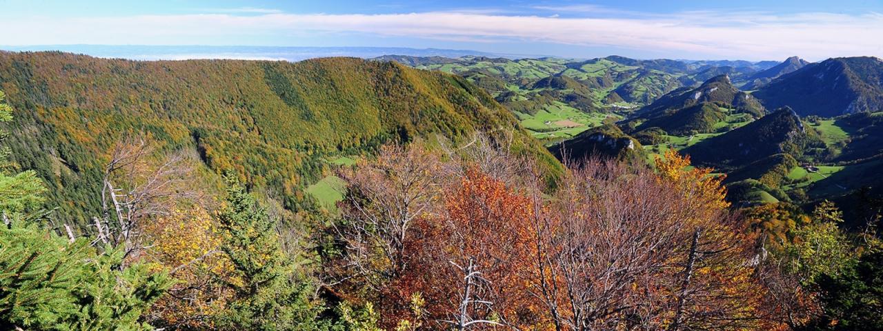 Panoramic picture shows over autumn-colored mountain forests into the Ennstal National Park region characterized by meadows and mountains