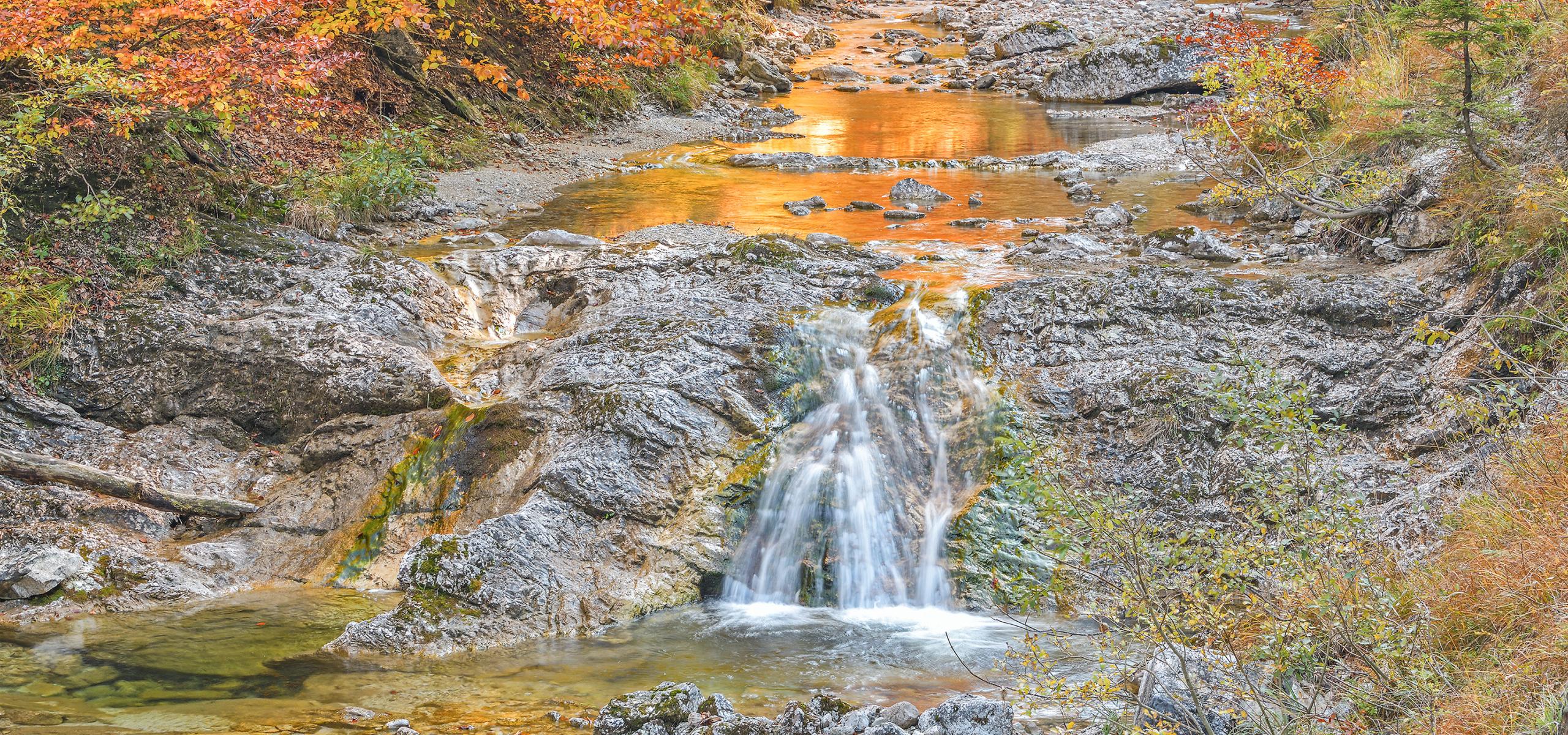 The colorful foliage is reflected in the upper reaches of the Krumme Steyrling in autumn Kalkalpen National Park.