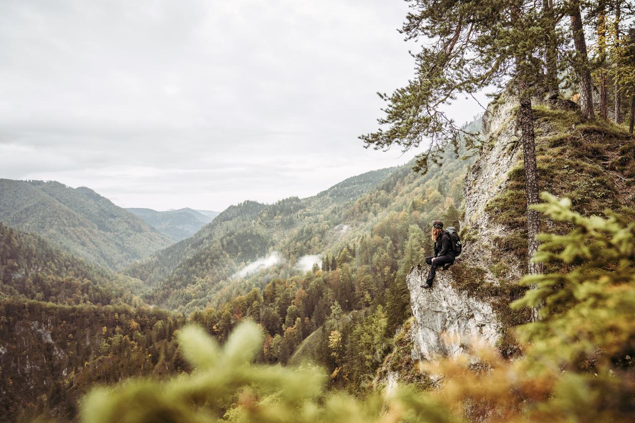 A woman with a rucksack sits on a rocky outcrop and looks out over an expansive forest landscape