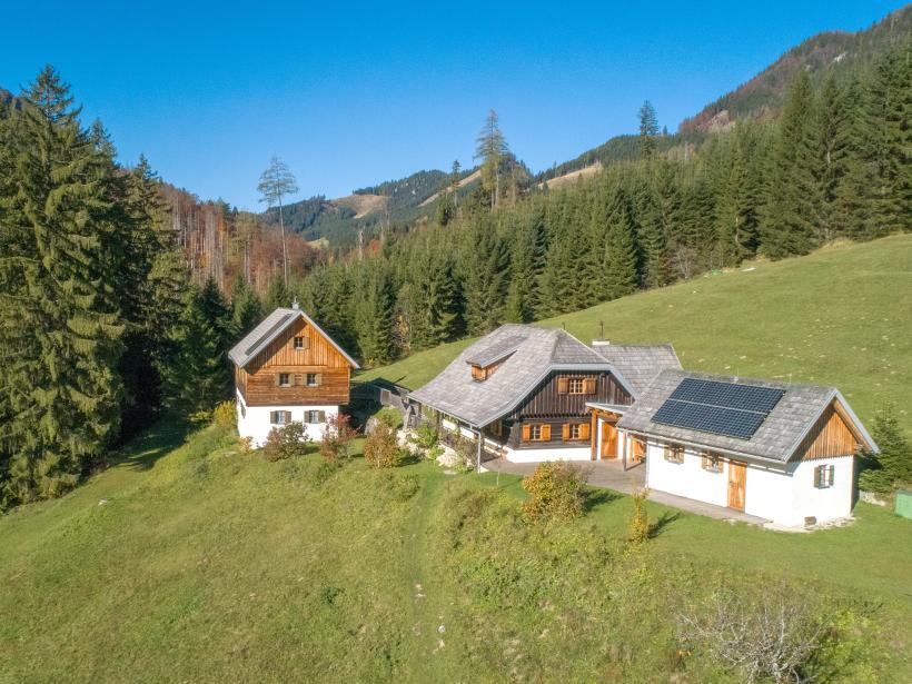 There are three buildings in a clearing in the forest