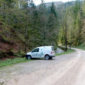 Car parked on gravel parking lot in wooded area