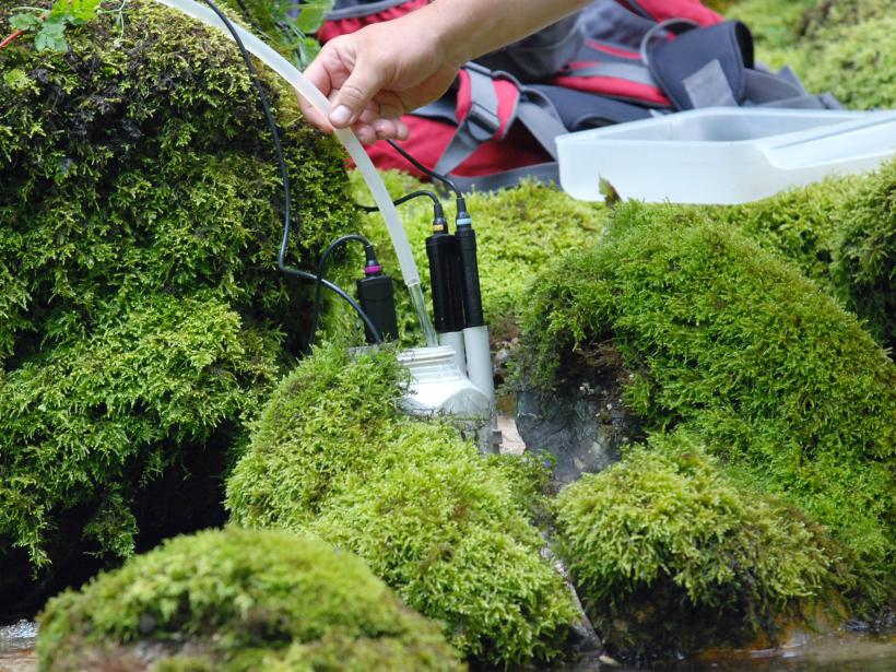 A water meter is stuck between mossy stones in the mountain stream
