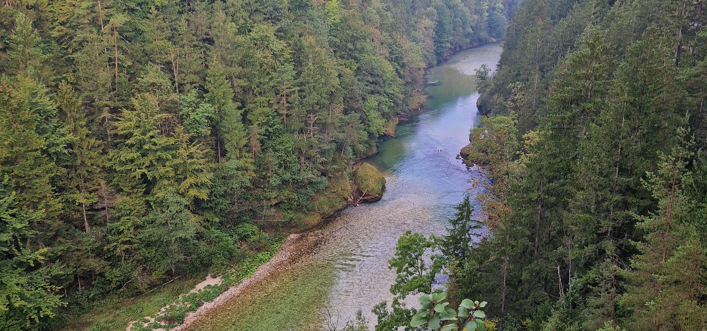 The Steyr River flows through a forest-lined gorge