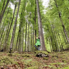 National Park ranger in yoga position in the spring-green beech forest
