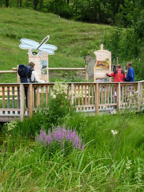 Three adults stand on a wooden footbridge over a wetland biotope