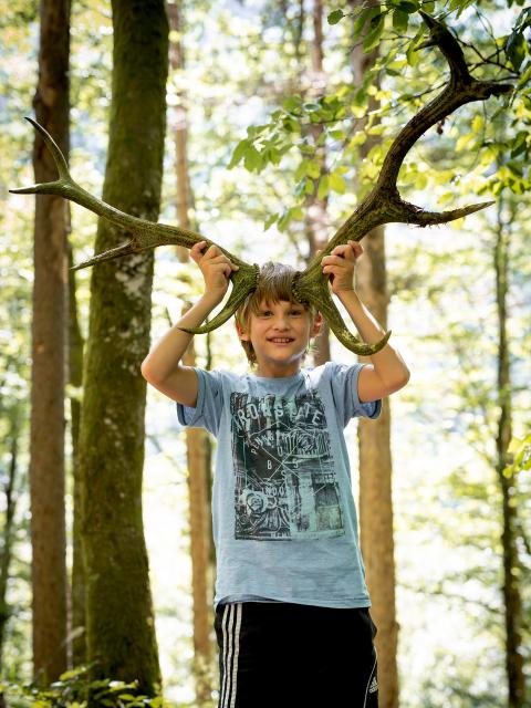 A boy stands in the forest and holds a deer antler to his head
