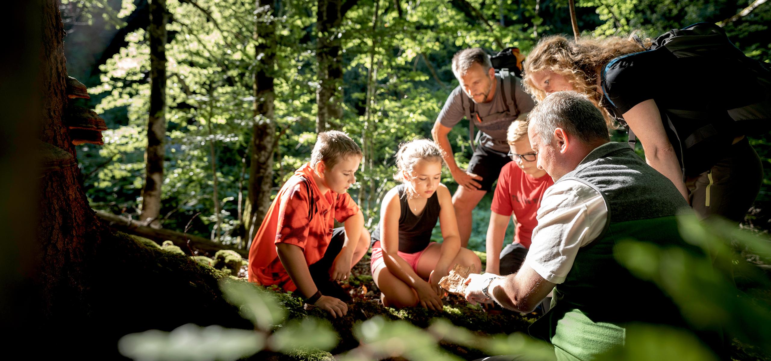 Kalkalpen National Park Ranger tour with adults and children in the forest