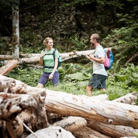A woman and a man walk through a forest with fallen tree trunks