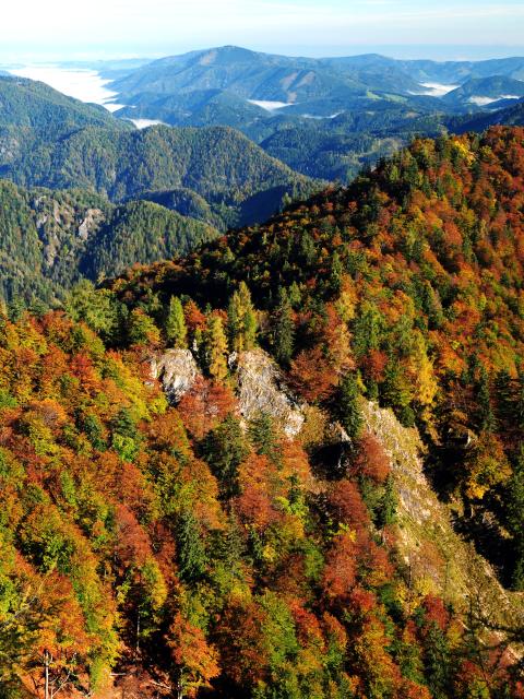 View over autumn-colored mountain forests