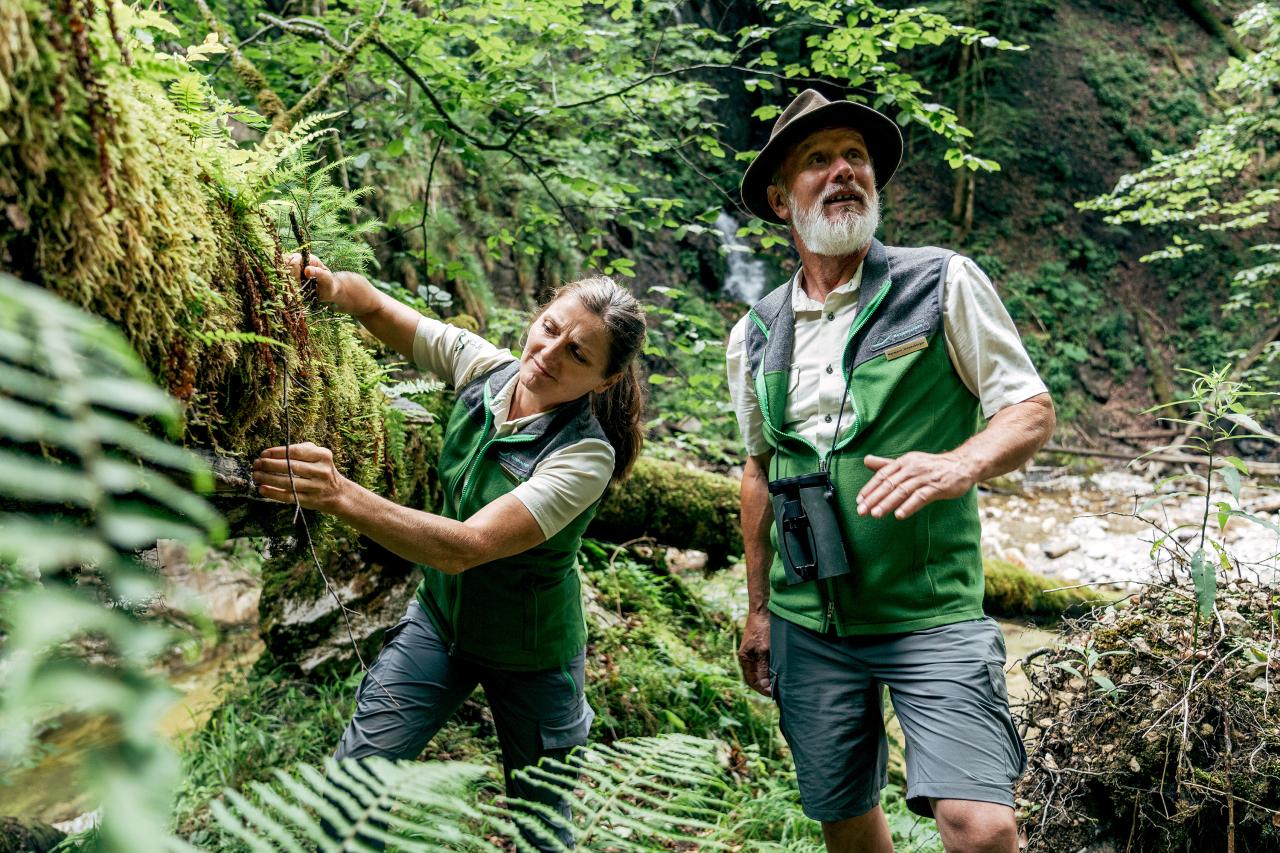 A national park ranger and a ranger show diverse plant growth on deadwood trunks