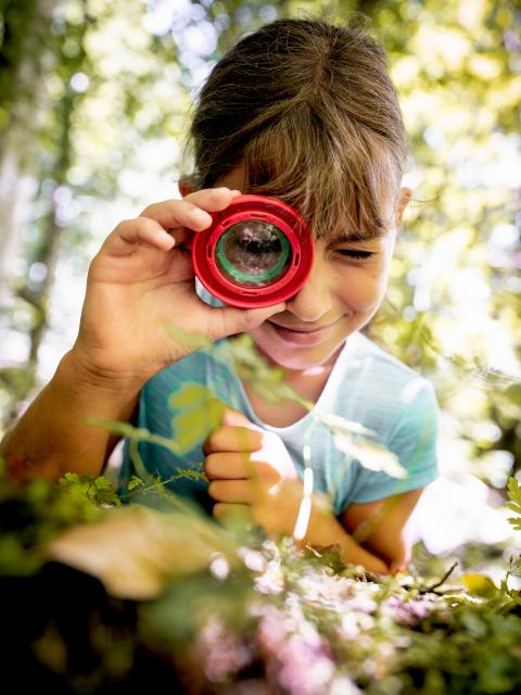 Girl looking at a beech leaf through a magnifying glass