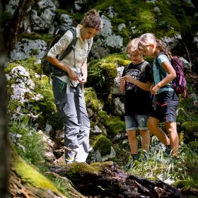 National Park ranger and two schoolchildren look at a lying deadwood trunk