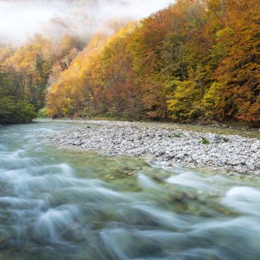 Stream flows around a gravel island, its banks accompanied by an autumn-colored beech forest