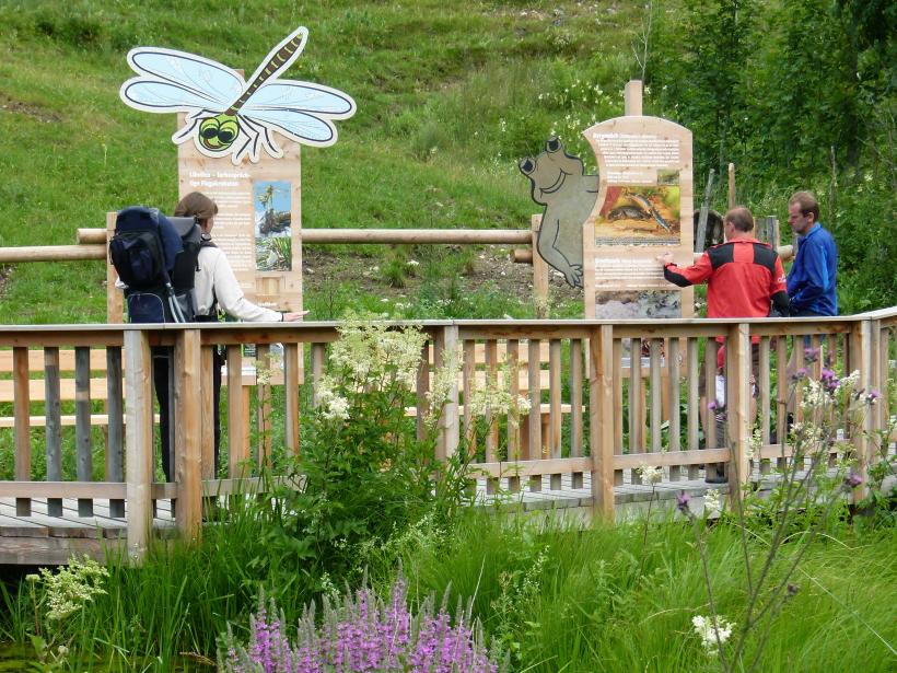 Three adults stand on a wooden footbridge over a wetland biotope
