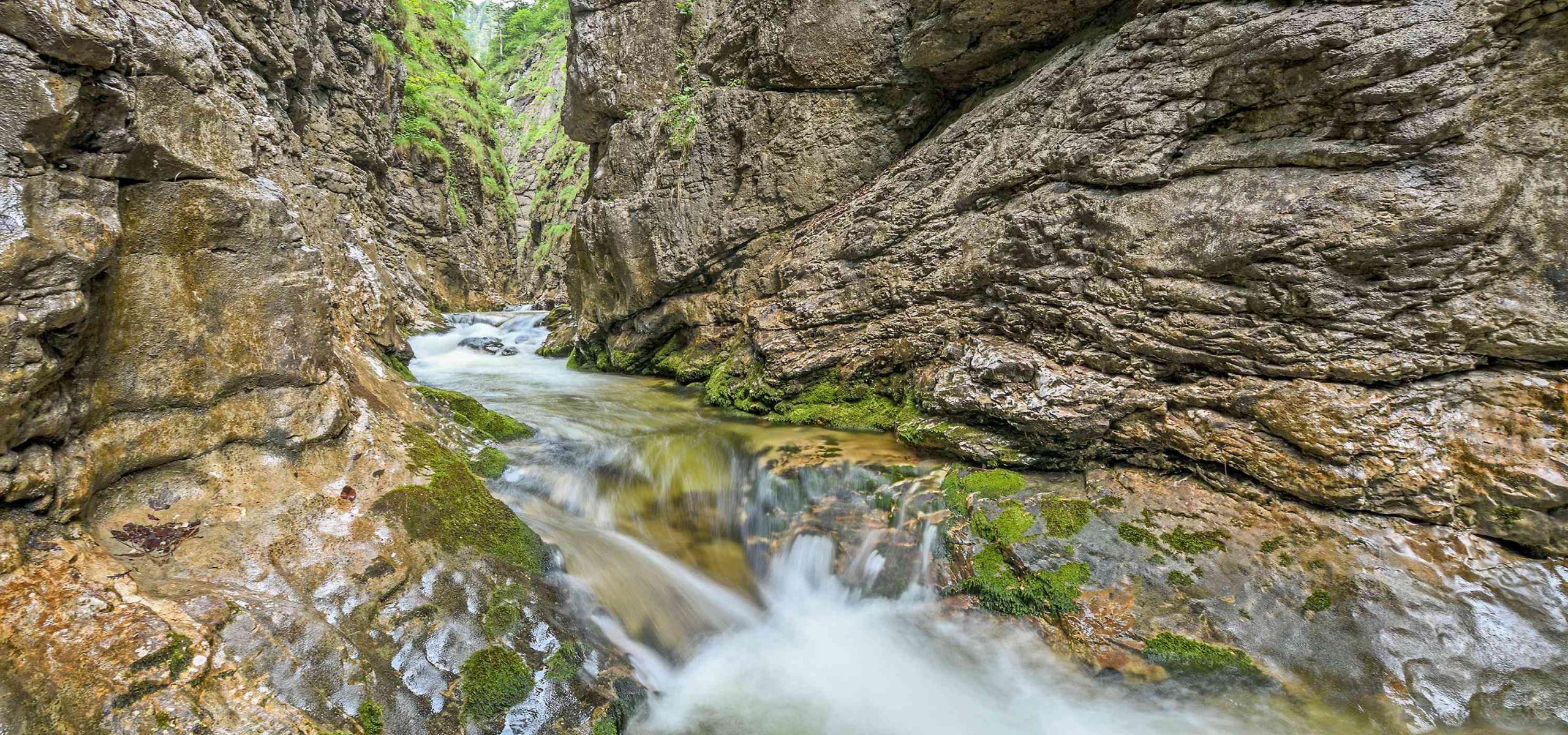 Mountain stream forces its way through a deep, narrow gorge
