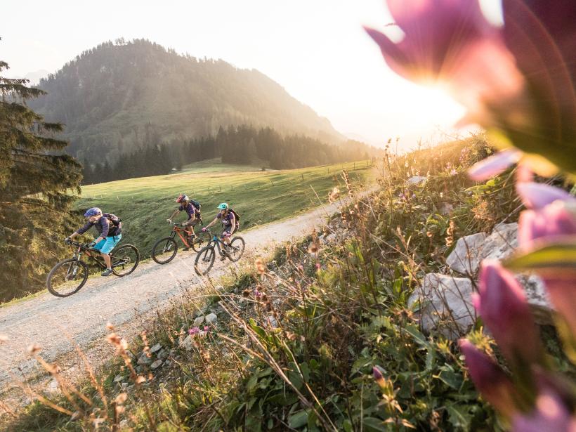 Three people ride their mountain bikes in an alpine landscape