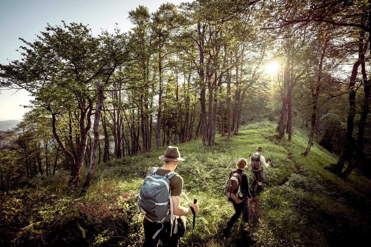 National Park Ranger hikes with two adults over a wooded mountain ridge