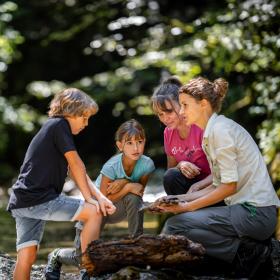 Ranger shows two children a piece of driftwood on a rock in the stream bed.