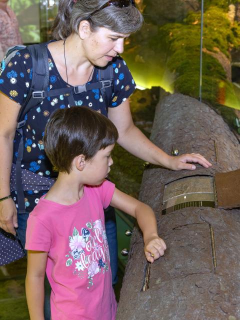 A woman and child standing by a tree trunk in the exhibition Wunderwelt Waldwildnis