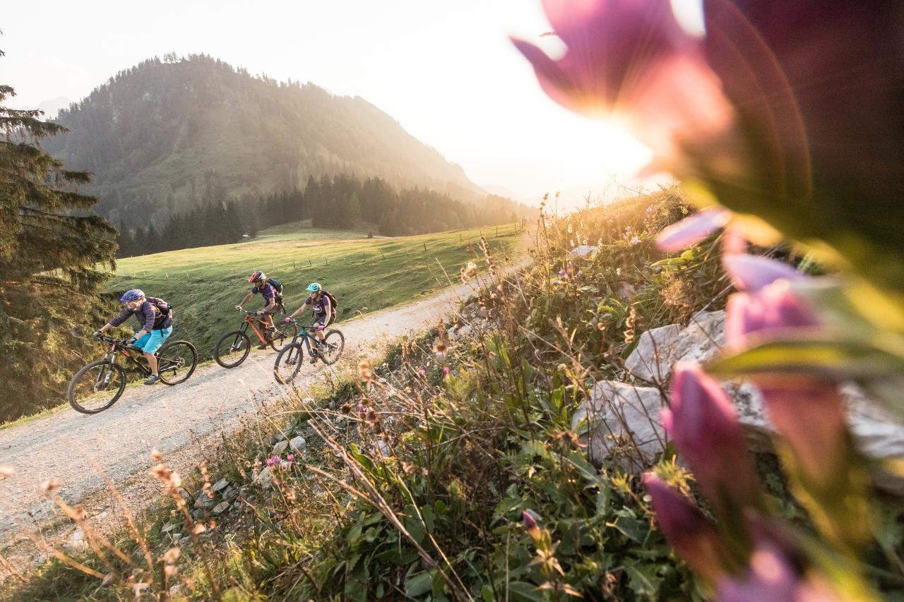 Three people ride their mountain bikes in an alpine landscape