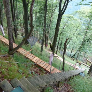 Research area with boardwalks in a forest slope at Zöbelboden