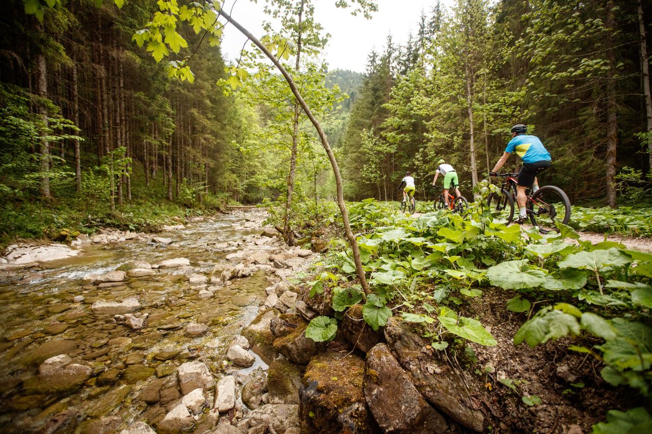 Three adults ride along a creek landscape on mountain bikes