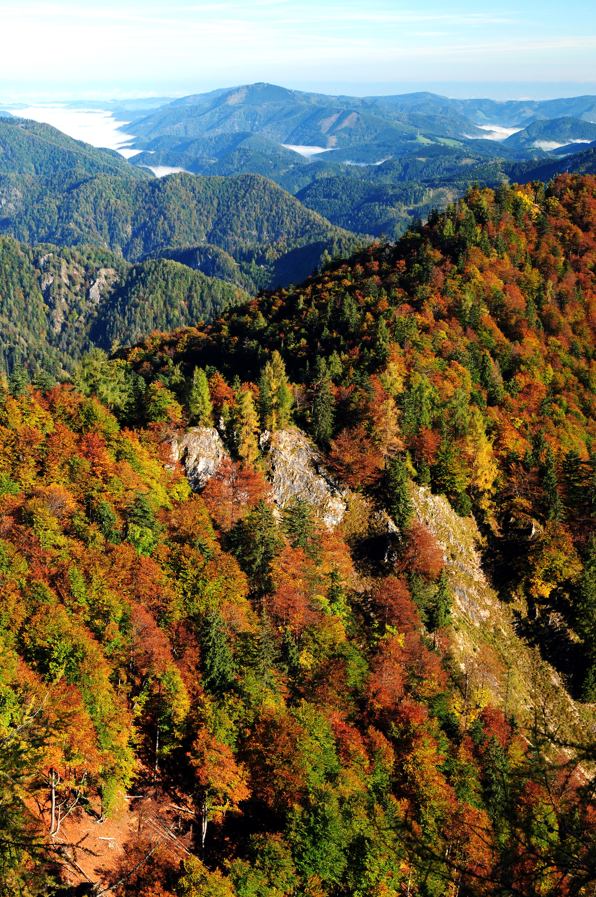 View over autumn-colored mountain forests